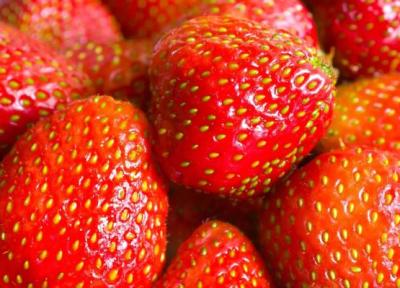 حقیقت دارد، دانه های ریز روی توت فرنگی تخم میوه نیست! حقیقت دارد، دانه های ریز روی توت فرنگی تخم میوه نیست!